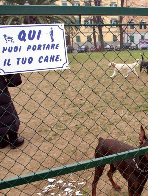 «Controlli ok, ma fateli ovunque» 