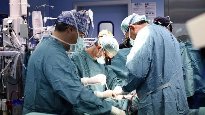 Olbia, muore ragazza di 14 anni: donati gli organi a 4 pazienti 