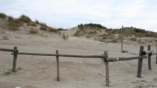 Conto alla rovescia per il ripristino ambientale alle dune
