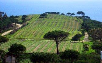 Due giorni dedicati all’agricoltura doc 