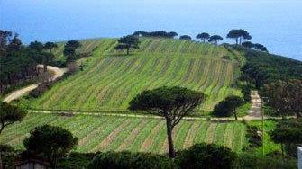 Due giorni dedicati all’agricoltura doc