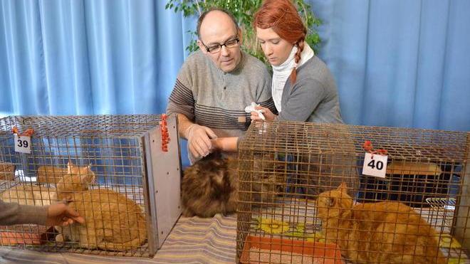 Tanti mici e bimbi premiati alla festa del “Gatto randagio”