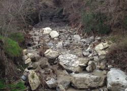 Maltempo: frana di quaranta ettari avanza a Roccalbegna 