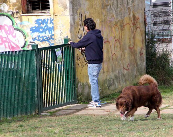 Un nuovo parco per i bambini e per i cani 