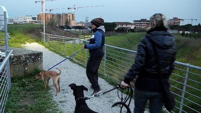 Teste di pollo al veleno, cani salvati in extremis a Empoli