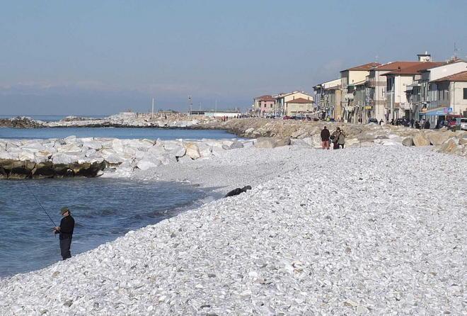 In consiglio comunale il problema dell’erosione costiera 