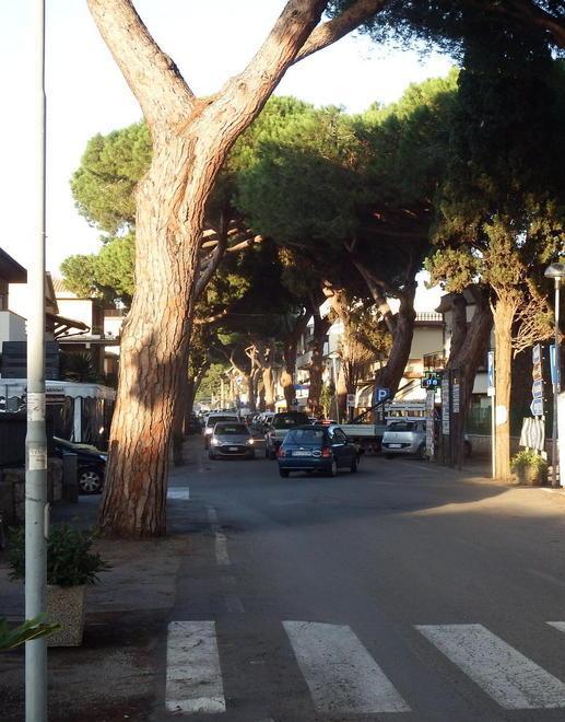 Massimo Forti nuovo direttore sanitario 