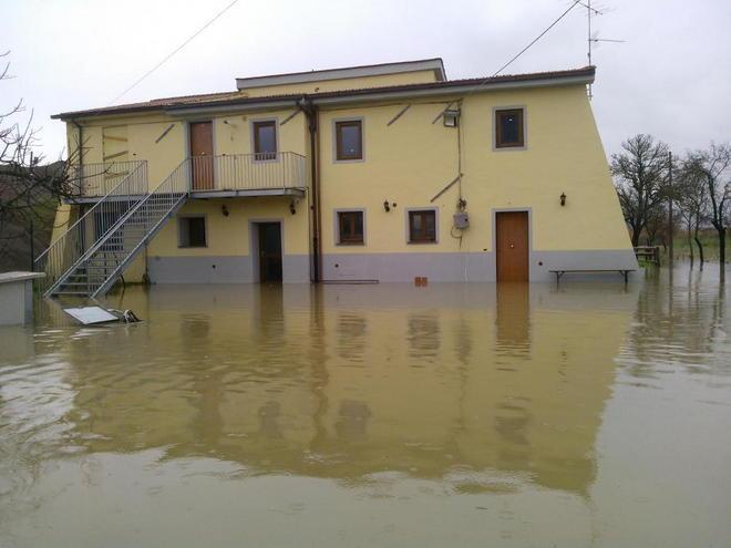 Cercansi volontari per rimettere a posto l’oasi degli animali 