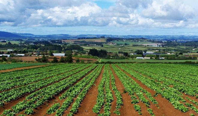 Morìa di aziende agricole nel Sassarese: dal 2008 chiuse 500 ditte 