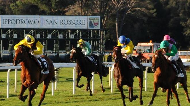Ippica: Santo Stefano e Cuochi Pisani fra i premi