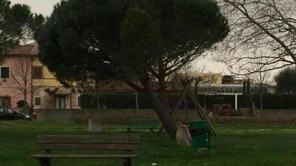 Albero pericolante ai giardinetti