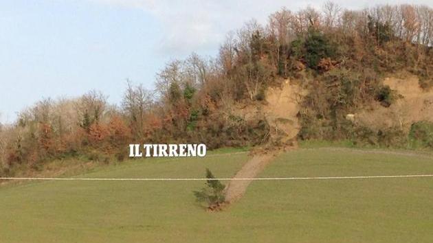 L'albero che "trasloca" seguendo la frana