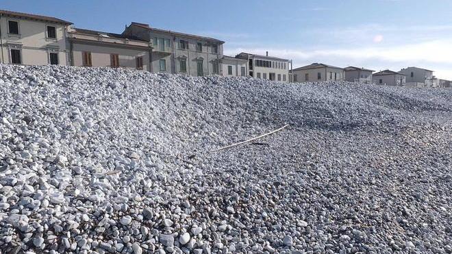 Spiagge di ghiaia a Marina, l’ok del consiglio comunale