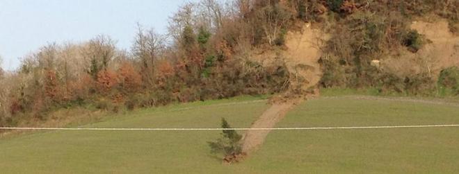Quell’albero che trasloca insieme alla frana della collina ma resta in piedi