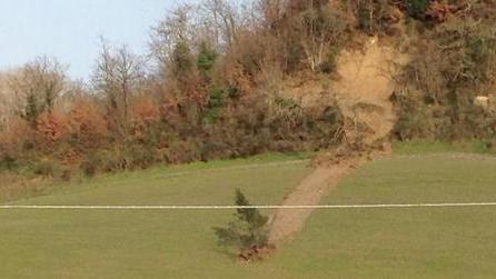 Quell’albero che trasloca insieme alla frana della collina ma resta in piedi