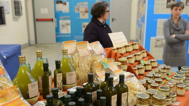 Oliando si impara Scatta la festa dei sapori a km 0
