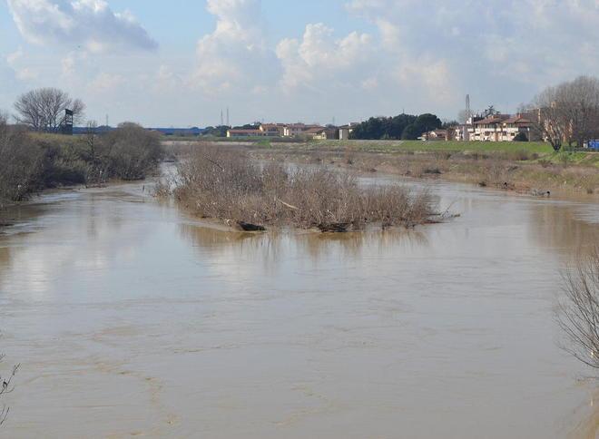 Quell’isolotto nell’Arno preoccupa per le piene 