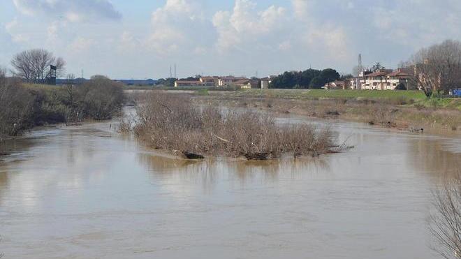 Quell’isolotto nell’Arno preoccupa per le piene