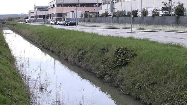 Muore all’alba nell’auto finita nel canale