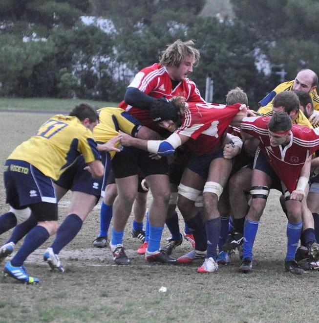 Rugby Cecina in sosta campionati fermi per Italia-Scozia