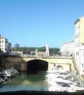 «Il glicine salverà le barche dalla Tia» 