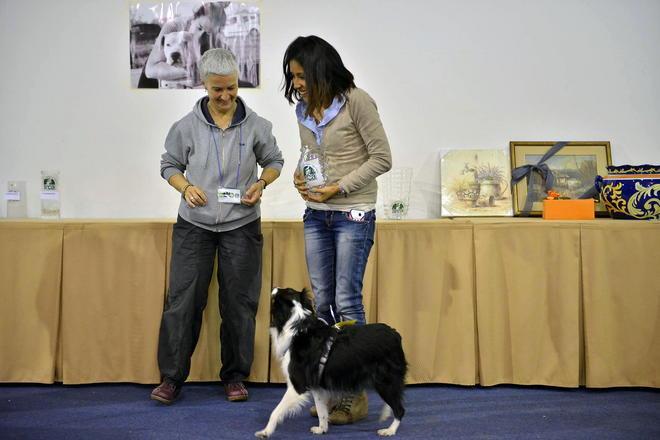 Al Palesposizioni un successo per i bastardini 