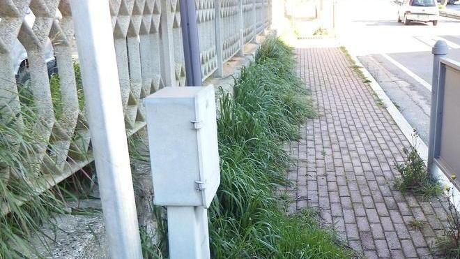 Erba alta e degrado, cittadini infuriati