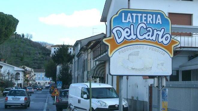 Svuotata latteria a Porcari via soldi, formaggi e vino