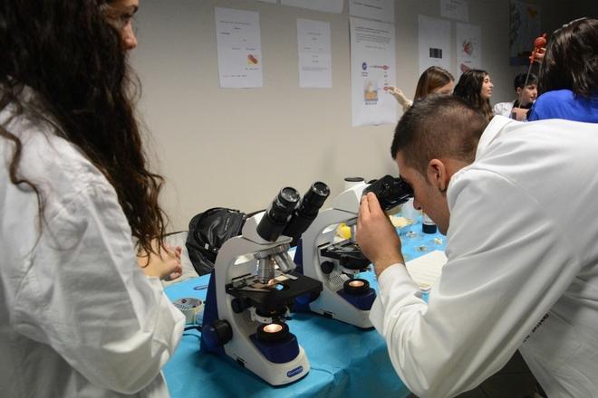 Tandem scientifico tra Istituto nazionale di fisica e università di Sassari 