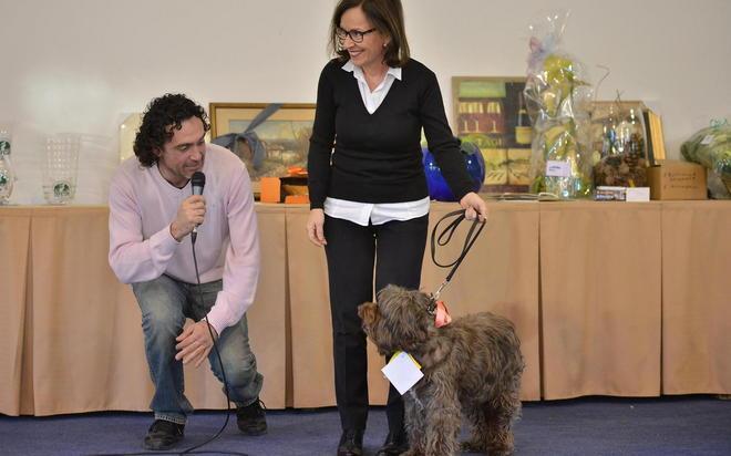 Un successo per i bastardini 