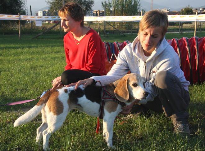 Prato la città d’italia più attenta agli animali 