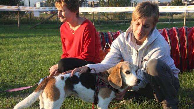 Prato la città d’italia più attenta agli animali