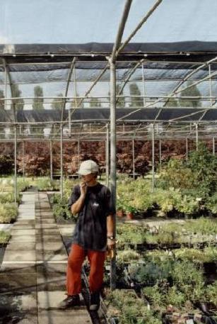 Cento gli operai irregolari nelle aziende florovivaistiche