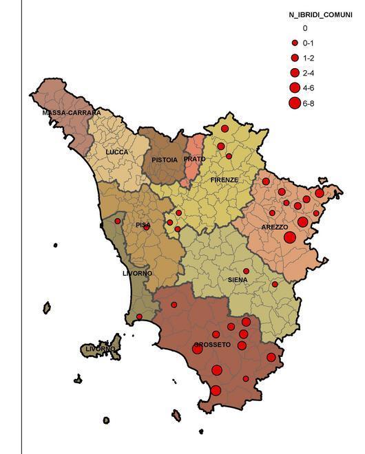 Gli studi confermano: nel Grossetano la più alta presenza di “ibridi”