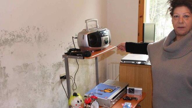Prato, muffa e umidità nella casa popolare di via Carlesi