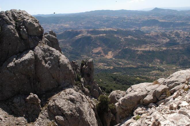  Tre piante sarde a rischio di estinzione 