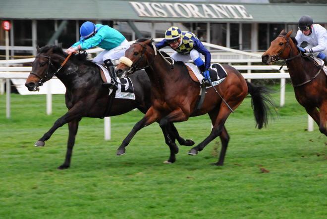 All’ippodromo un marzo pieno di iniziative 