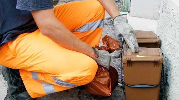 Organico: la raccolta parte dal mercato