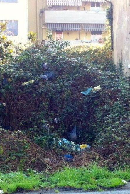 Rifiuti abbandonati in pieno centro