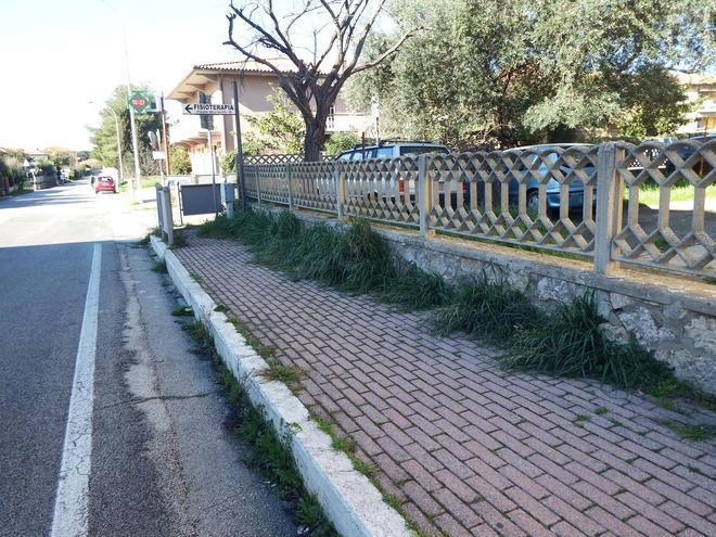 Furti a Fonteblanda, spunta l’ipotesi delle ronde 