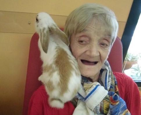 Coniglietti, rapaci e agnellini in visita ai nonni di Comeana 