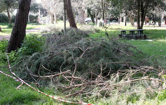 Rifiuti meno cari con i bidoni per il verde 
