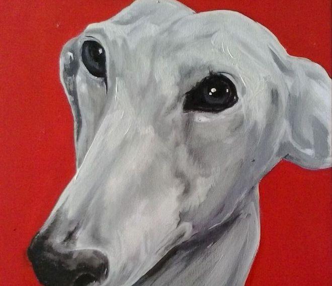 I levrieri Galgo in mostra contro i maltrattamenti 