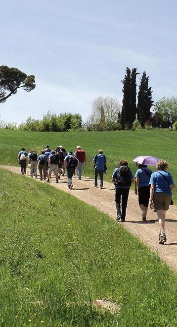 Sito internazionale per promuovere la via Francigena 