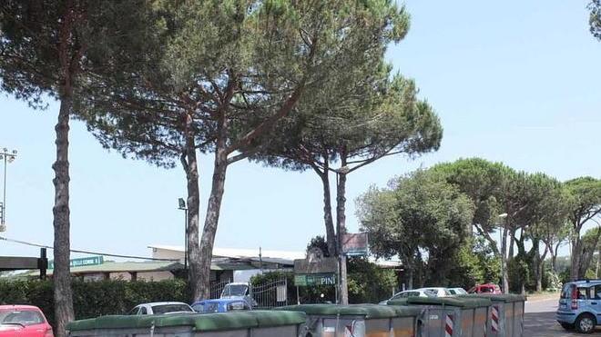 Rifiuti nel Parco, scarseggiano i controlli