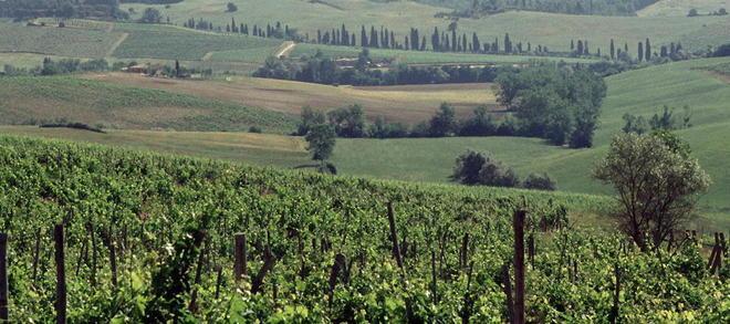 Oltre 600 vini alla prova delle degustazioni 
