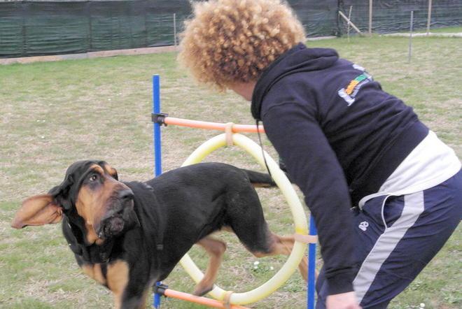 Migliorare il rapporto tra cane e padrone