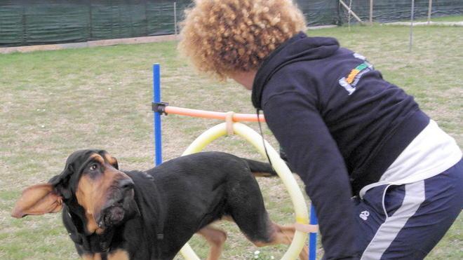 Migliorare il rapporto tra cane e padrone