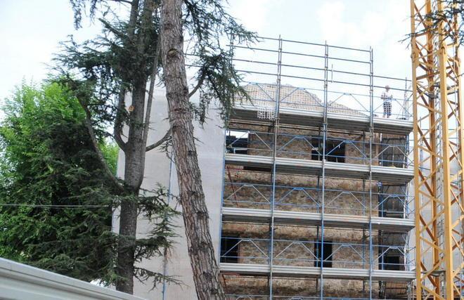 Si abbattono tre alberi storici c’è il via libera delle Belle Arti