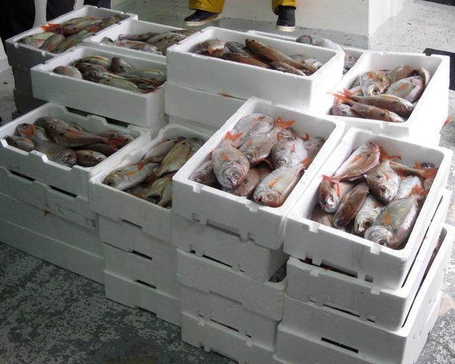 La Capitaneria sequestra 270 kg di pesce a un peschereccio spagnolo 